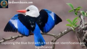 Exploring the Blue Bird with a Red Breast: Identification and Significance