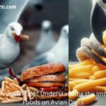 Can Birds Eat French Fries (1)