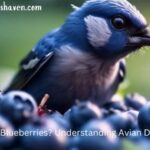 Do Birds Eat Blueberries