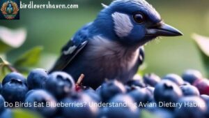 Do Birds Eat Blueberries? Understanding Avian Dietary Habits [2024]