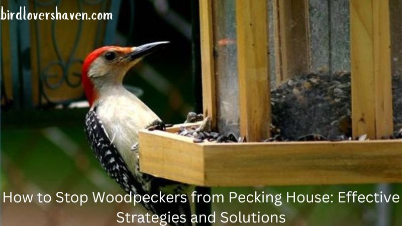 How to Stop Woodpeckers from Pecking House: Effective Strategies and Solutions