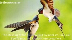 The Meaning of the Swallow Bird: Symbolism, Cultural Significance, and Modern Interpretations