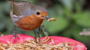 Do Birds Eat Meat? A Comprehensive Exploration of Bird Diets