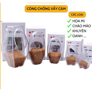 Cóng chống vẩy cám hiệu quả cao cho chim khuyên, chào mào, họa mi, hút mật – Giải pháp chống vung vẩy cám cho chim